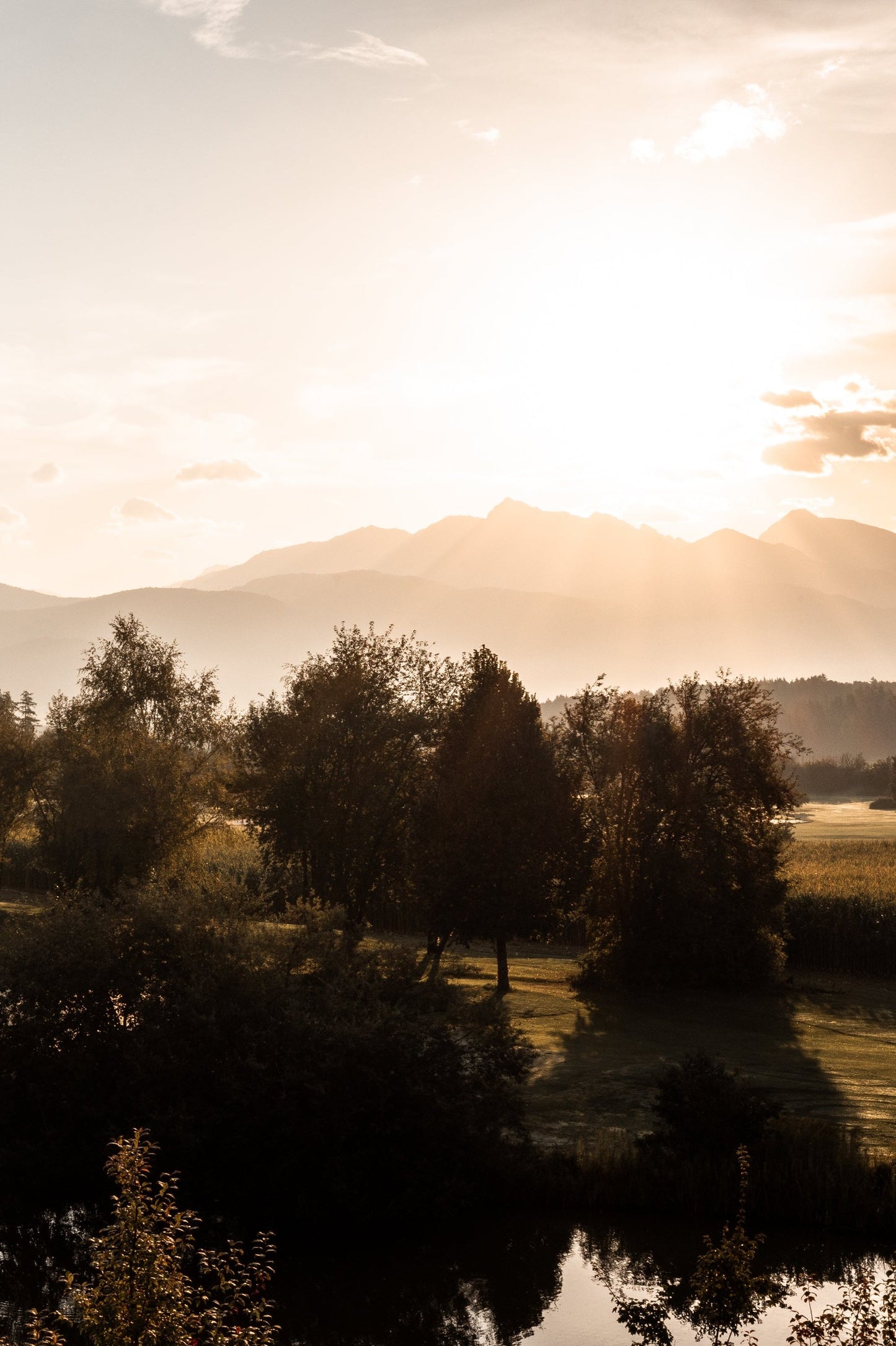 Sonnenaufgang über bewaldeter Landschaft, ideal für Goldenbody Shop Ch Waldtraining.